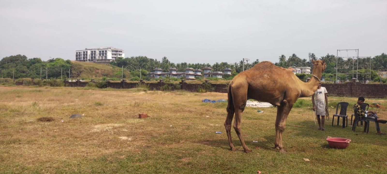Bekal Fort Beach Resorts Bekal Town Екстер'єр фото
