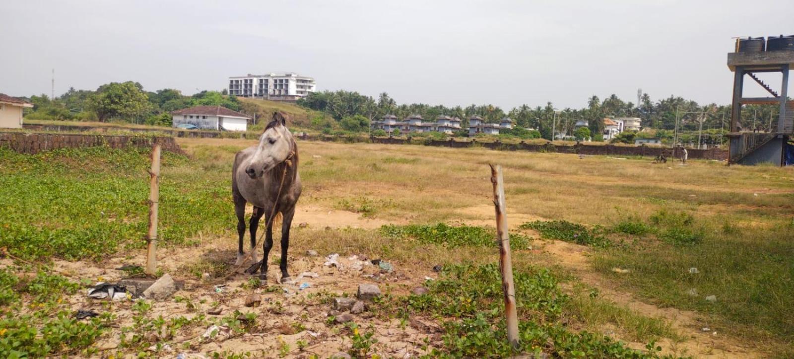 Bekal Fort Beach Resorts Bekal Town Екстер'єр фото